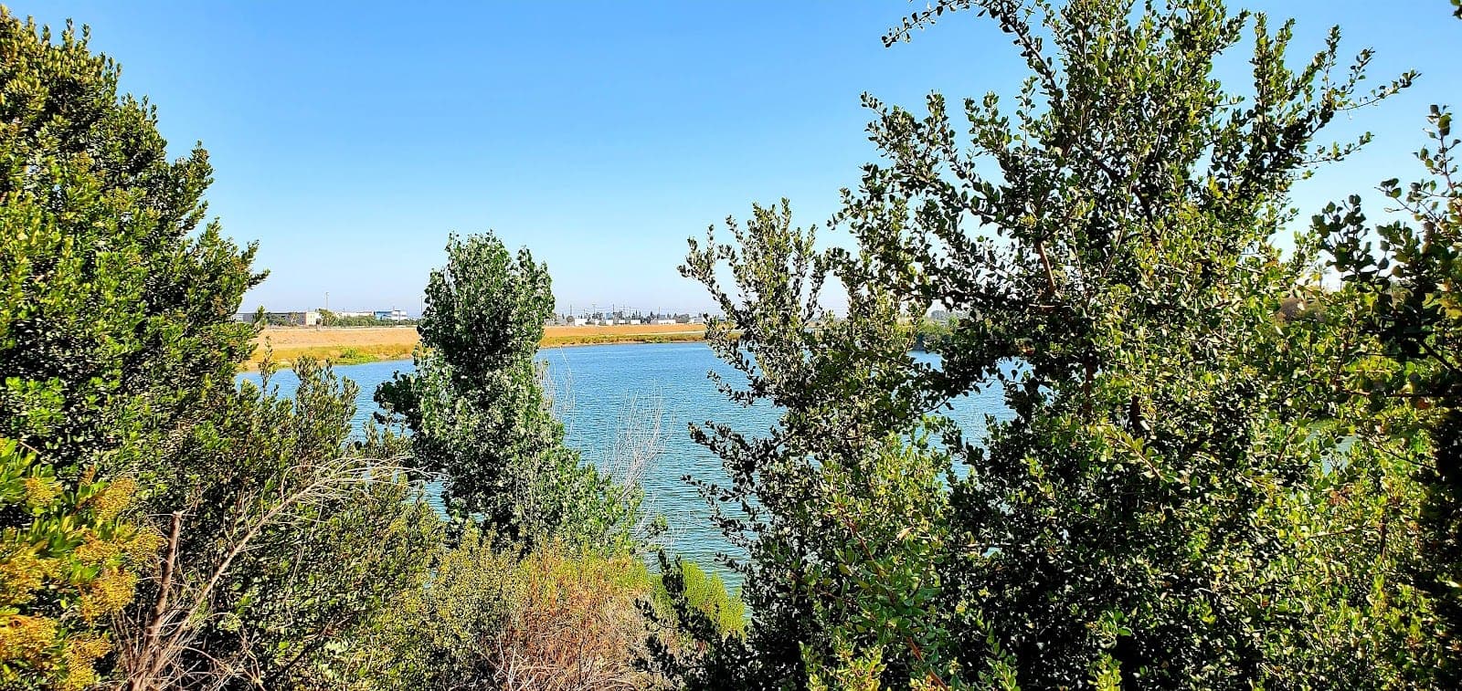 Anaheim Coves Trail