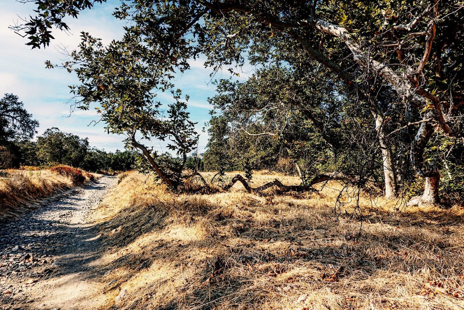 Arroyo Trabuco Trail
