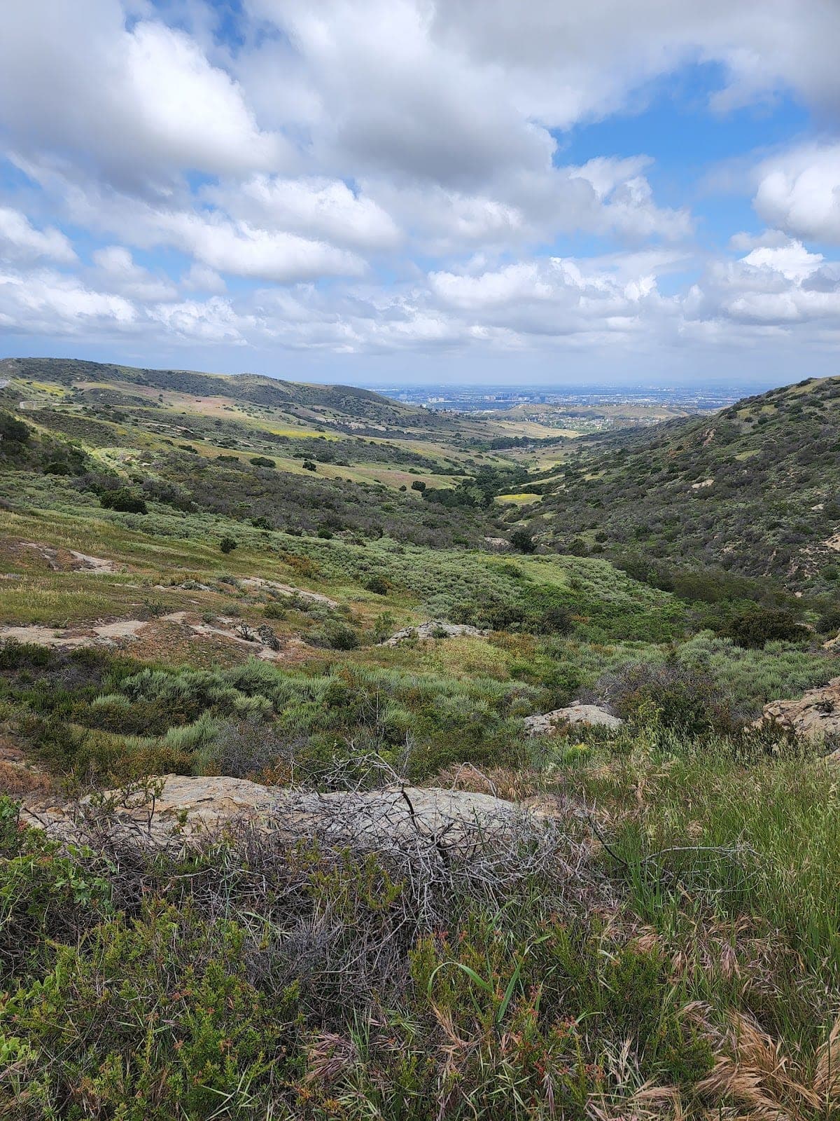 Bommer Canyon