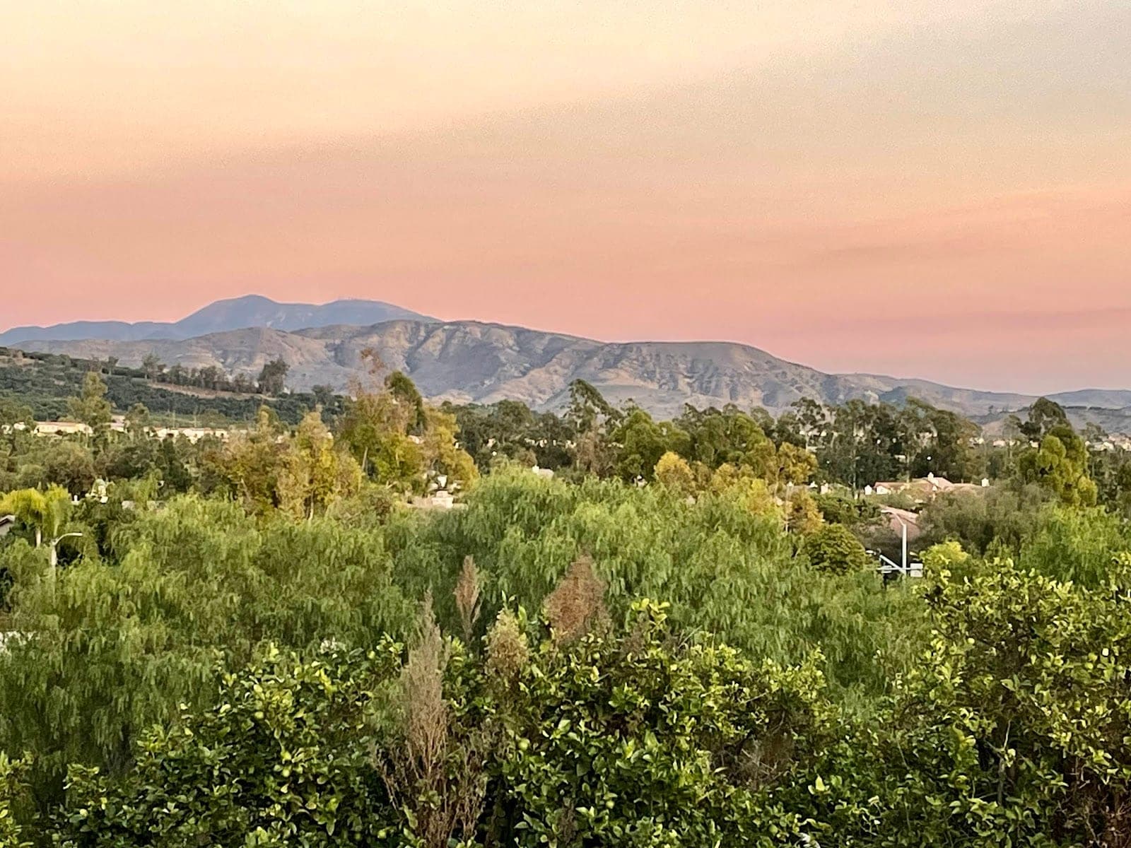Citrus Ranch Park
