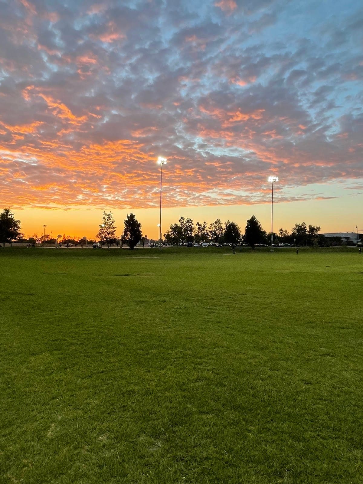 Grijalva Park
