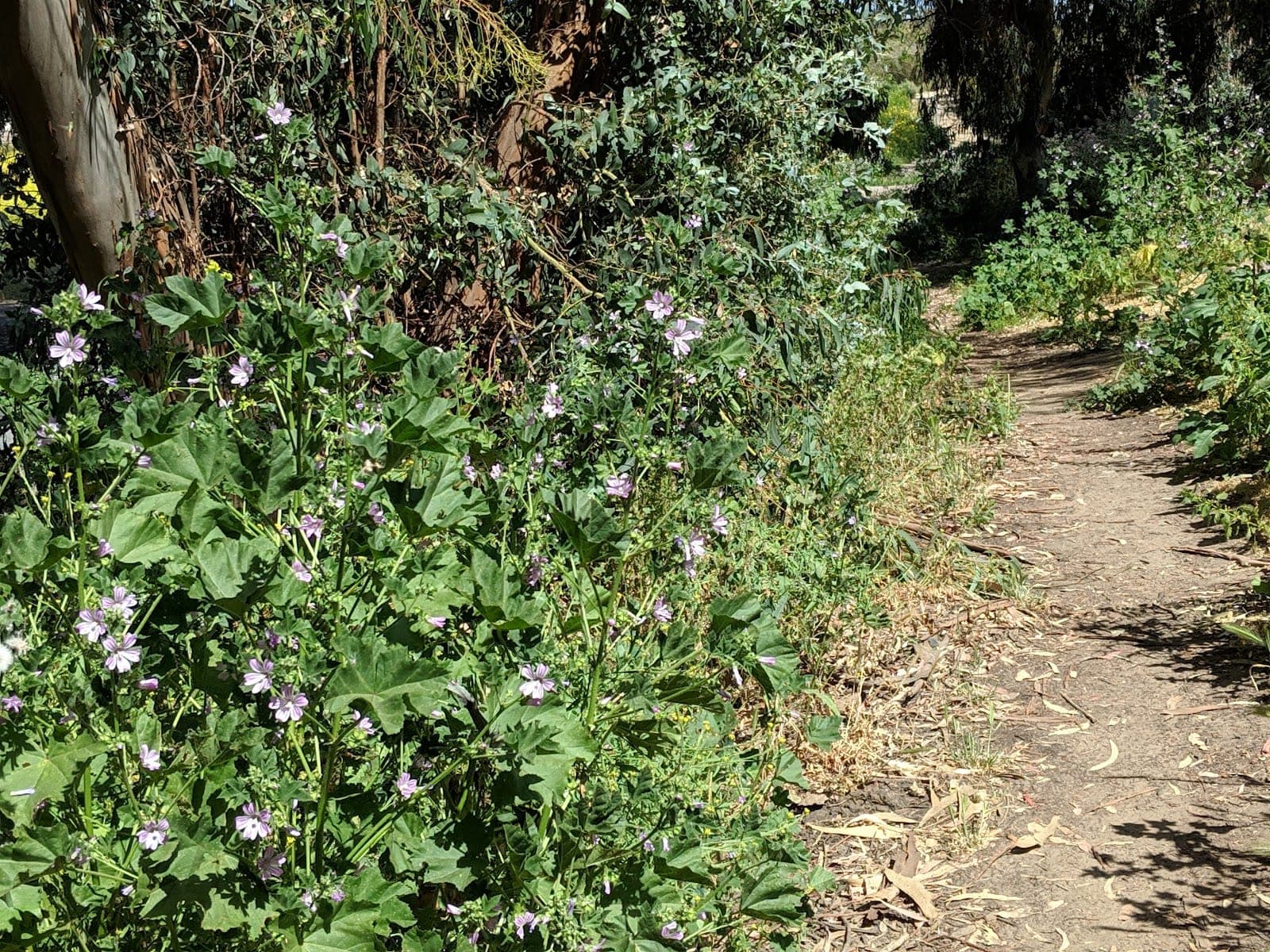 Gum Grove Park