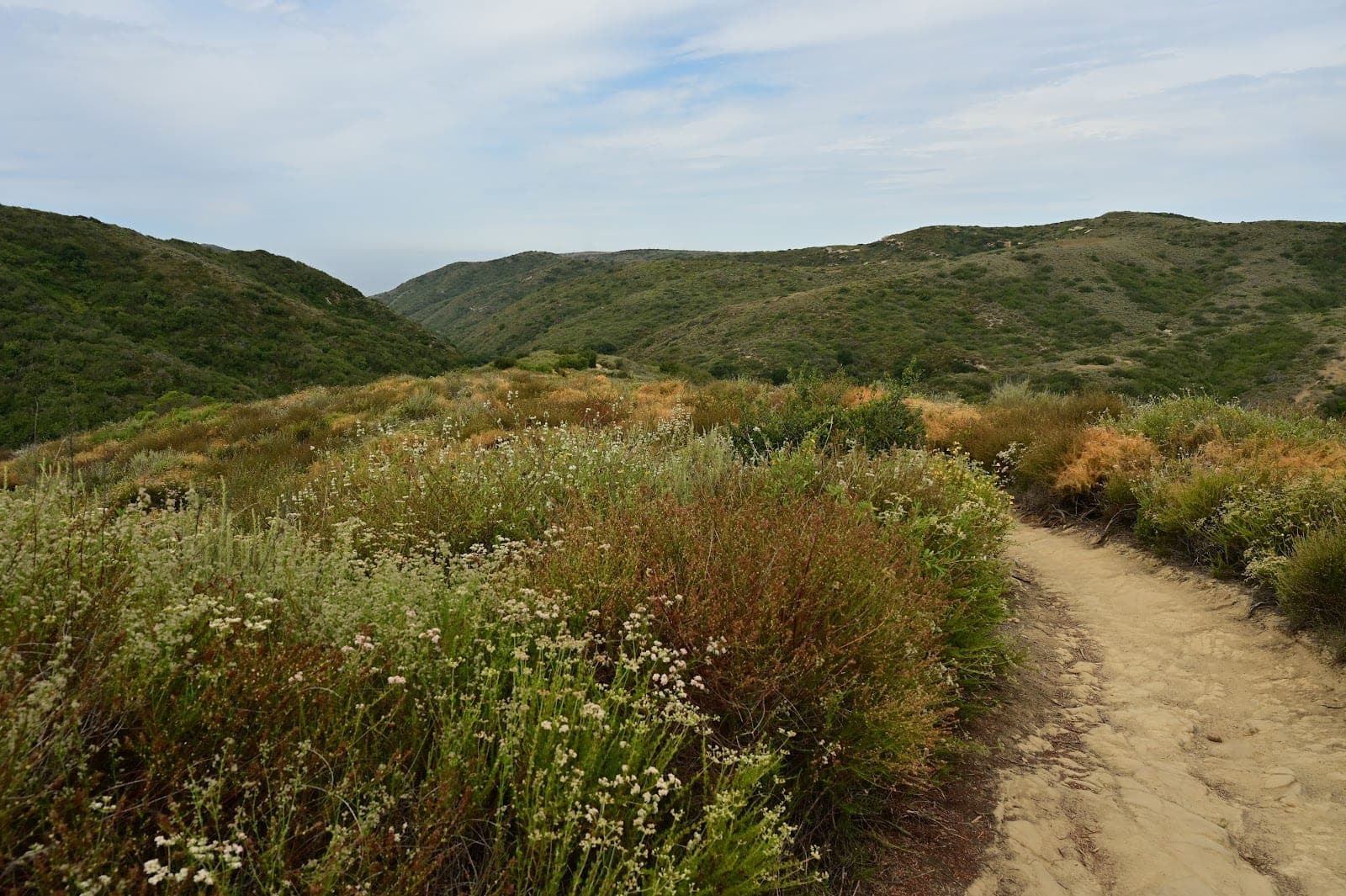 Laguna Coast Wilderness Park