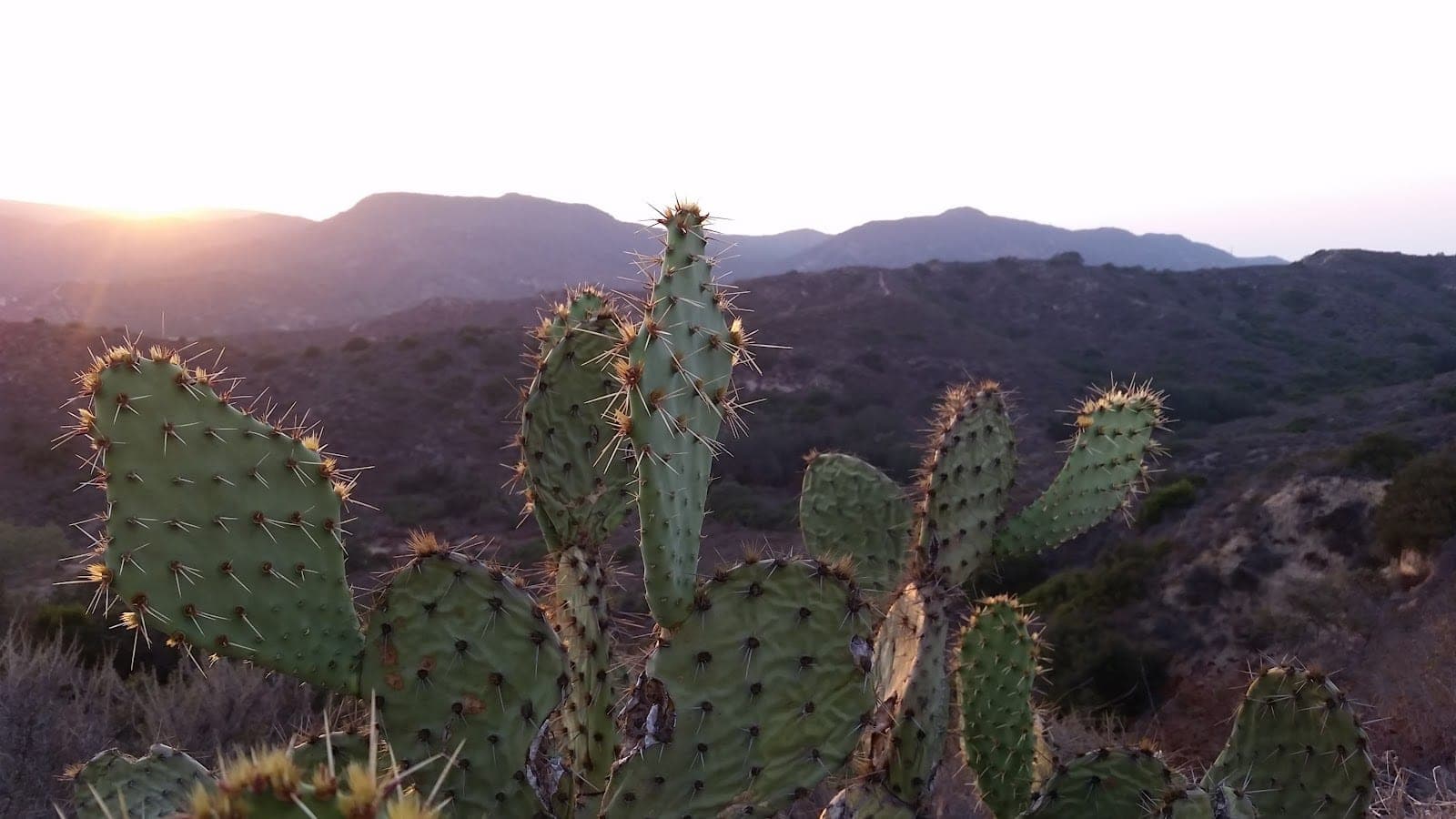 Laguna Coast Wilderness Park