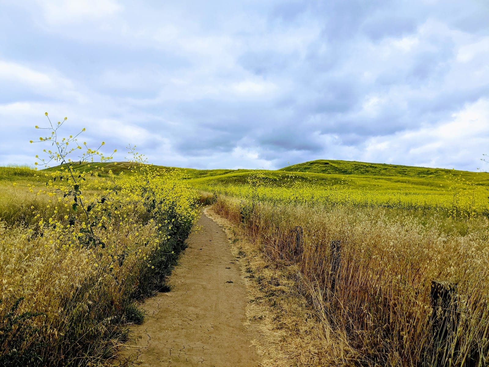 Quail Hill