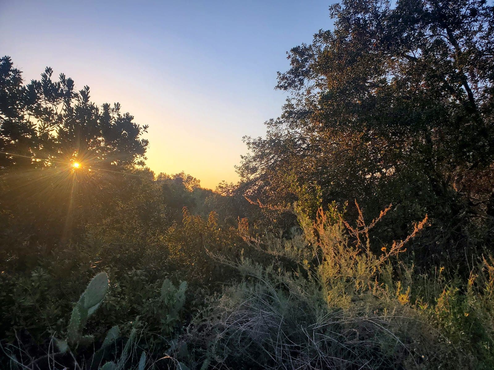 Ronald Reagan Park