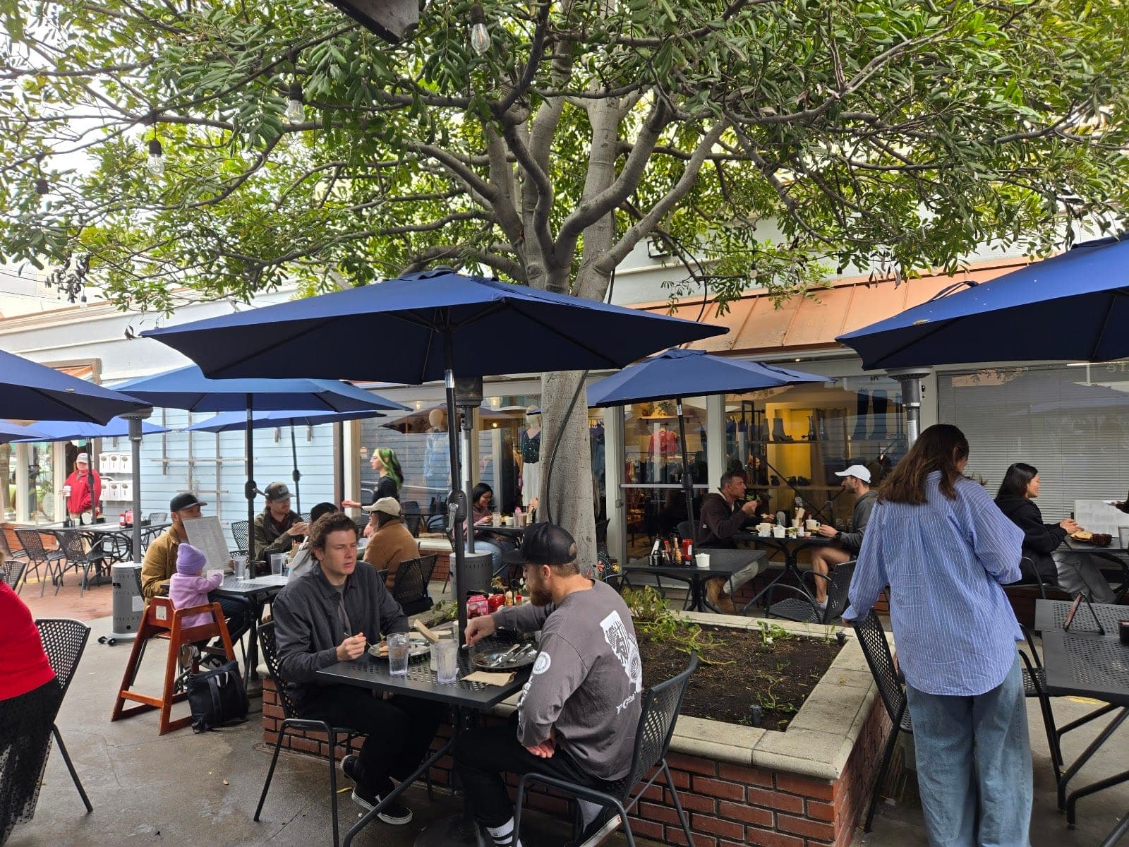 The Crema Cafe